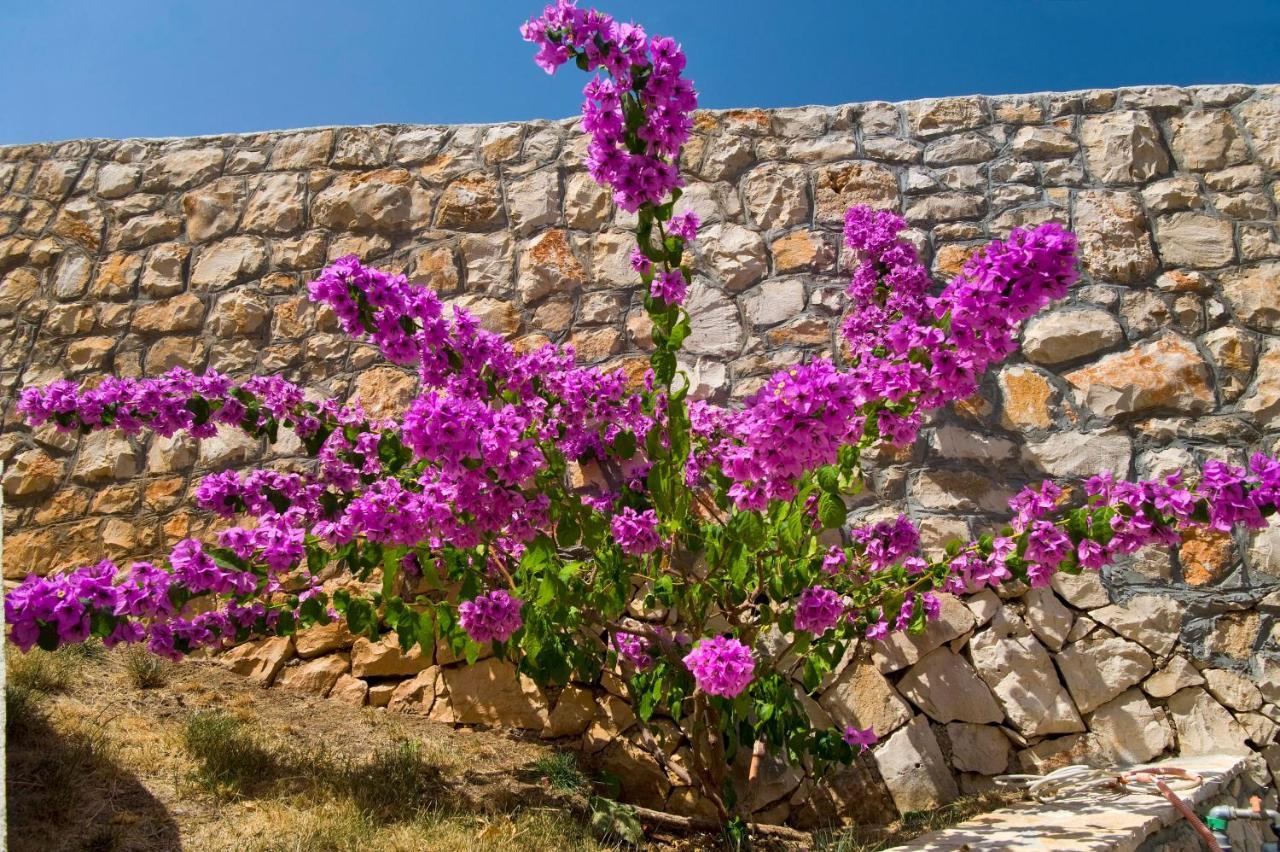 Holiday Home Duje Trogir Ngoại thất bức ảnh
