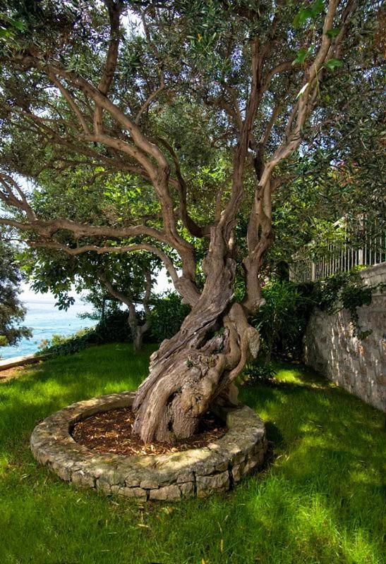 Holiday Home Duje Trogir Ngoại thất bức ảnh